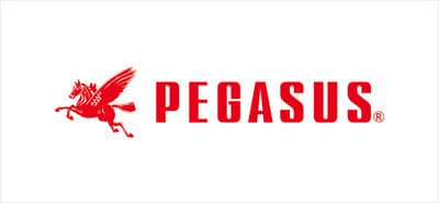 【ペガサスミシン製造】新卒で就職するためには？採用フローや選考対策を徹底解説！